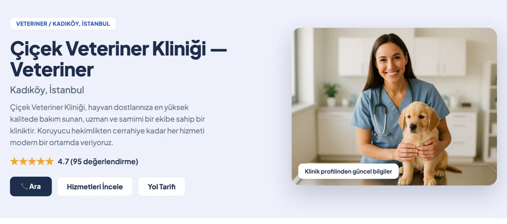 Otomatik kurulan profesyonel site