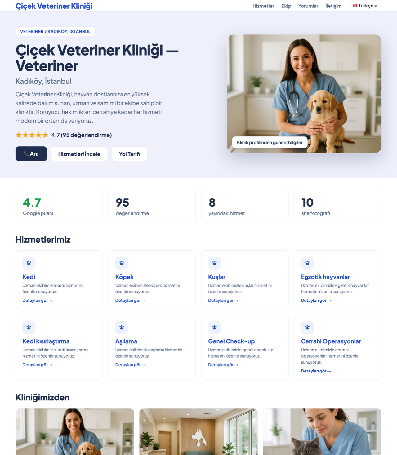 Otomatik oluşturulan çok dilli web sitesi ekranı
